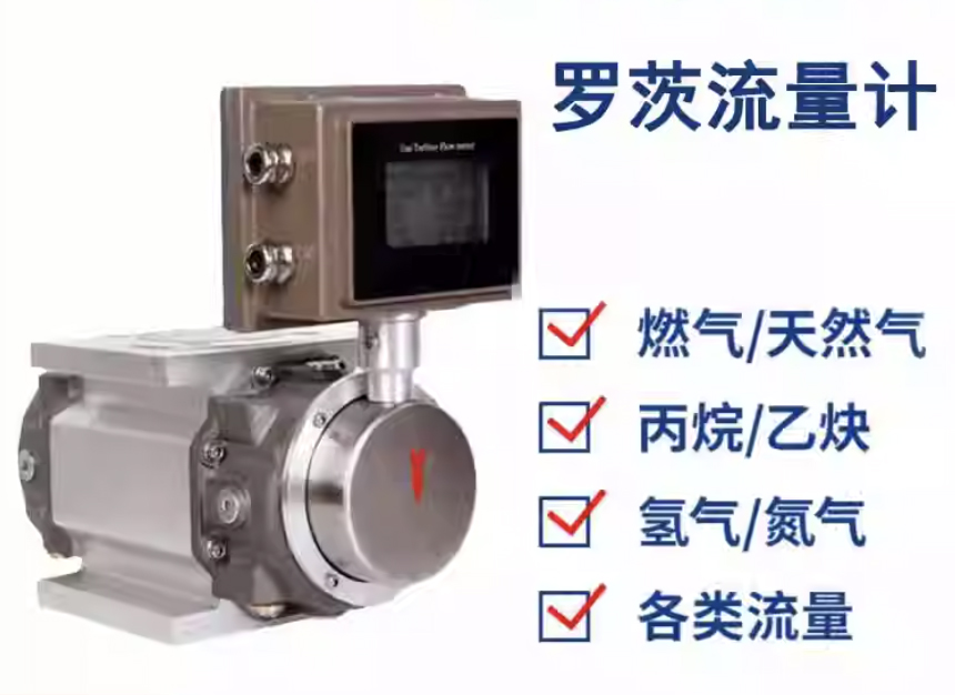DN100氣體羅茨流量計(jì)