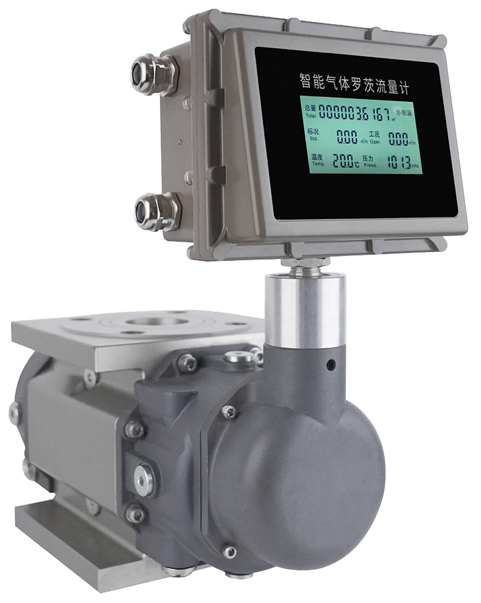 天然氣腰輪流量計(jì)產(chǎn)品圖片